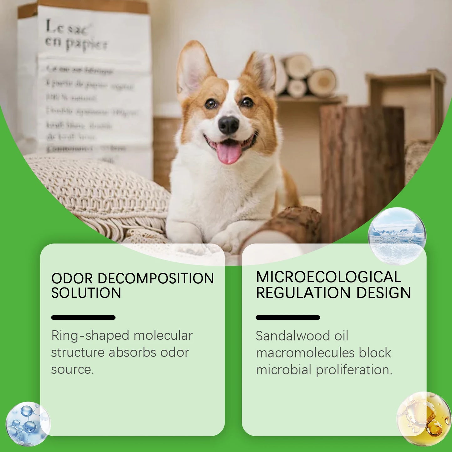 Pet Odor Eliminator Spray for Cat Dog Urine Accidents on Carpet Furniture Natural Deodorizing Mist with No Synthetic Fragrance