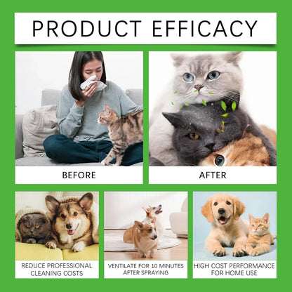 Pet Odor Eliminator Spray for Cat Dog Urine Accidents on Carpet Furniture Natural Deodorizing Mist with No Synthetic Fragrance
