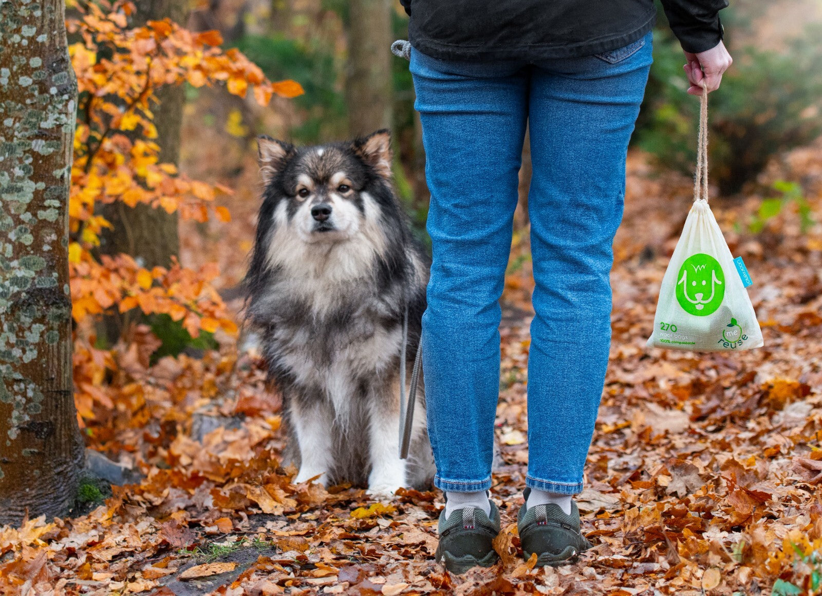 Compostable Dog Poop Bags | 120 Pack | Leakproof, 15 Bags/Roll, 8 Rolls