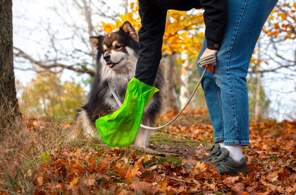 Compostable Dog Poop Bags | 120 Pack | Leakproof, 15 Bags/Roll, 8 Rolls