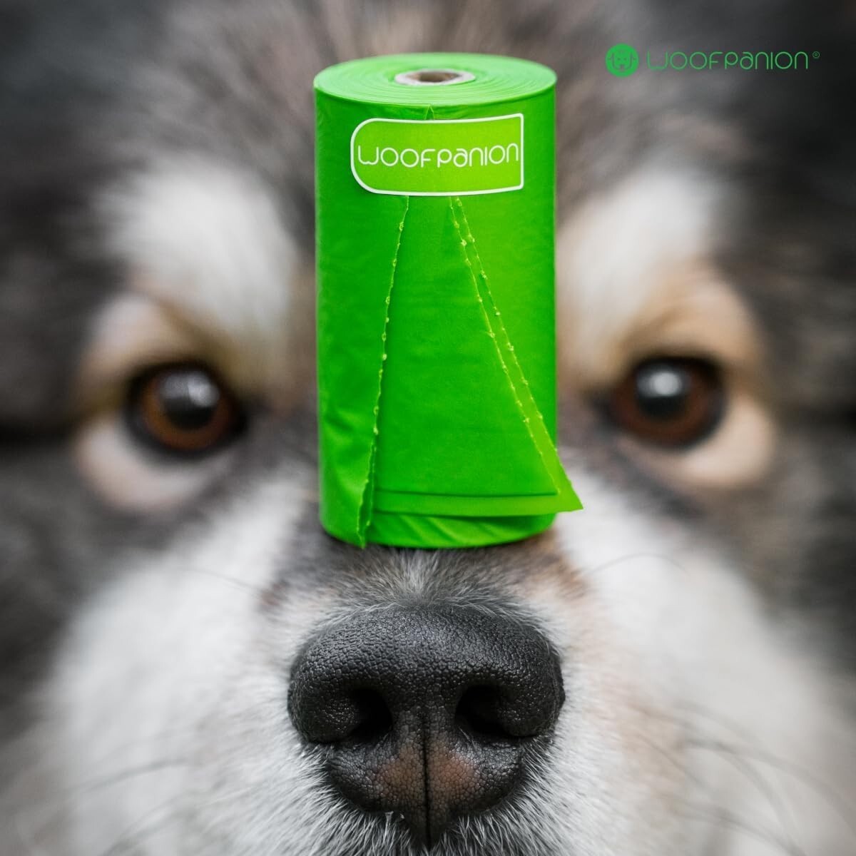 Compostable Dog Poop Bags | 120 Pack | Leakproof, 15 Bags/Roll, 8 Rolls